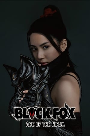 Black Fox: Age of the Ninja 2019 Dual Audio HDRip | Hindi Full Movie – 480p