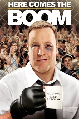 Here Comes the Boom 2012 Dual Audio HDRip | Hindi Full Movie – 480p