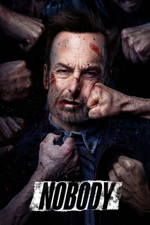 Nobody (2021) Dual Audio BluRay | Hindi Full Movie – 480p