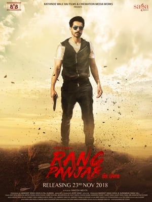 Rang Panjab (2018) Punjabi Movie | Hindi Full Movie HDRip – [350MB]
