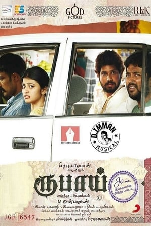 Rubaai (2017) Dual Audio | Hindi Full Movie UnCut HDRip 400MB