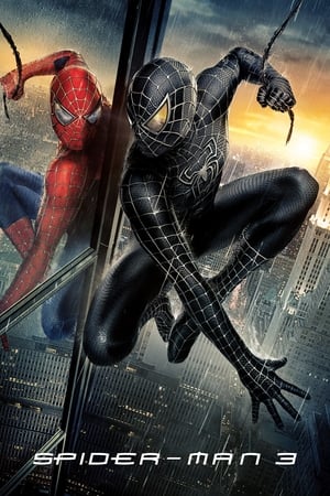 Spider-Man 3 (2007) Movie Dual Audio | Hindi Full Movie Bluray [800MB]