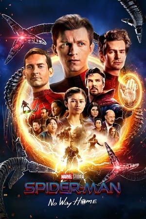 Spider-Man: No Way Home (2021) (ORG) Dual Audio BluRay | Hindi Full Movie – 480p